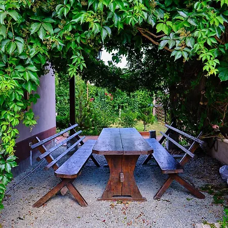 Casa Lotca Costinești